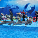 Дельфинарий