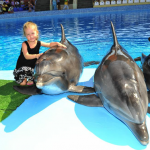 Кирилловка_Дельфинарий